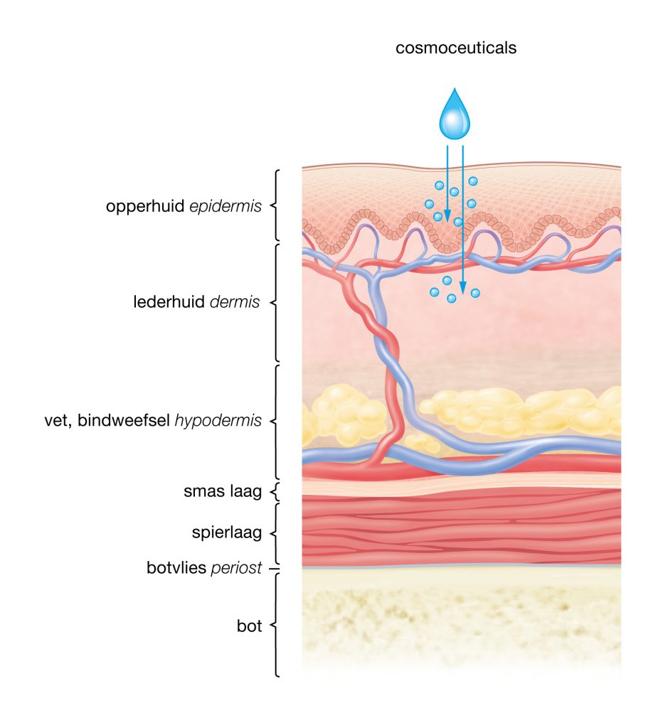 cosmoceuticals tekening